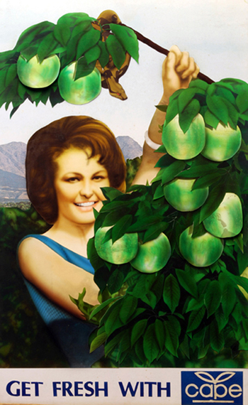 apartheid era cape fruit boycot poster
