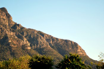 Mountain slope horizon of Devils Pealk in warm yellow sunlight and soft green shadows under early morning sunlight.