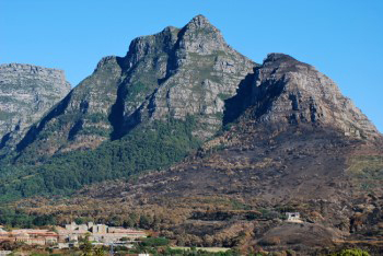 university of Cape Town (UCT)  campus under Devil's Peak