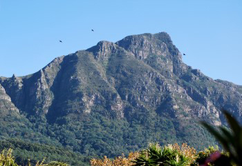 Devils Peak under warm blue haze