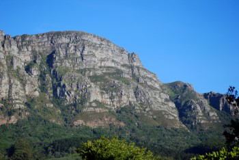 Soft light view of craggy outcrops of heavy weatheresBeautiful distant view of the buttresses under clear sunlight showing the craggy effect of thousands of years erosion of the sandstone layers with Newlands forest trees dark green on the lower slopes of the mountain side.