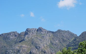 Close up view in bright sun under pale blue sky showing a number of big graggy grey boulders with green grass like vegetation growing on and around them on the Window buttress, Table Mountain, east side