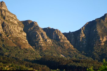 Closer view of the buttresses under warm yellow morining sun with Newlands forest trees creeping up the mountain slopes and a tiny rock formation in the horizon called The Pulpit.