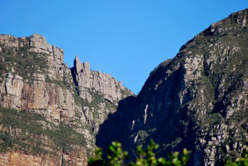 Close up view of the natural sandstone rock formation on top of the buttress that resemble the body of a cokeral followed by smaller chicks.
