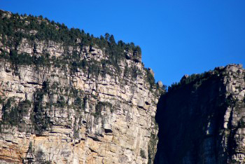 Closer view of the tops of the Fernwood and Protea buttresses in clear sunlight showing tall trees on top and craggy sandstone layers below.