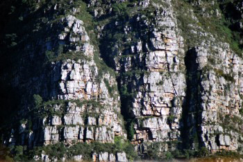 Very close view of the sandstone sedimentary layers that form Table Mountain.