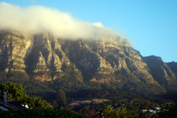 Dramatic warm sunlit view overlooking Newlands forest under dappled sunlight with tablecloth cloud covering most of the buttresses and partly covering the shadow face.