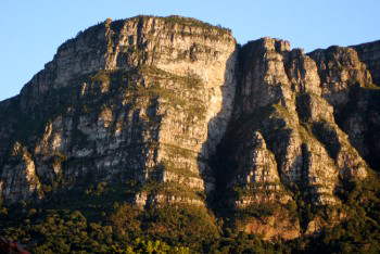 close up view of the Fernwood buttress  on the east side of Table Mountain bather in bright warm yellow sunshine. The Fernwood buttress clearly  shows the  profile human face shadom begining to appear. At the foot of the buttress are the Newlands forest trees.