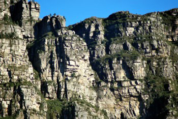 Very close up view under bright yellow reflected sunlight on undulating sandstone layers that make up Table Mountain and shows years of erosion and distortions that are partly covered in green vegetation.