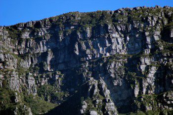 Very close view of the sandstone sedimentary layers showing the centuries old upheaval of the formation of Table Mountain.