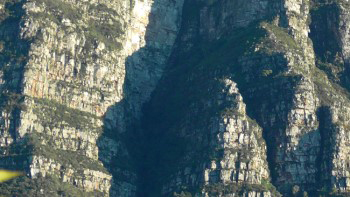 Close up view of the shadow face shadow between Fernwood and Protea buttresses still shows an African resemblance.