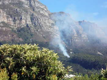 Distant view of a fire in Newlands forest with a rising column of blue white smoke and a bright yellow helicopter dropping water in spray onto the smoke.